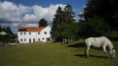 Umbau und Sanierung Stallgebäude