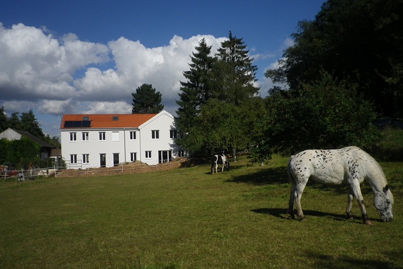 Umbau und Sanierung Stallgebäude